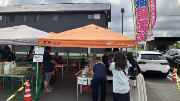 【譲渡会レポート】四日市動物愛護団体つむぎ